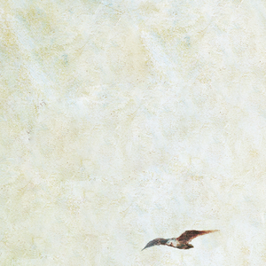 枯萎之花漫画免费下拉式快看漫画
