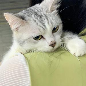 枯萎之花漫画免费下拉式快看漫画
